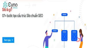 7 bước tạo cấu trúc Silo chuẩn Seo