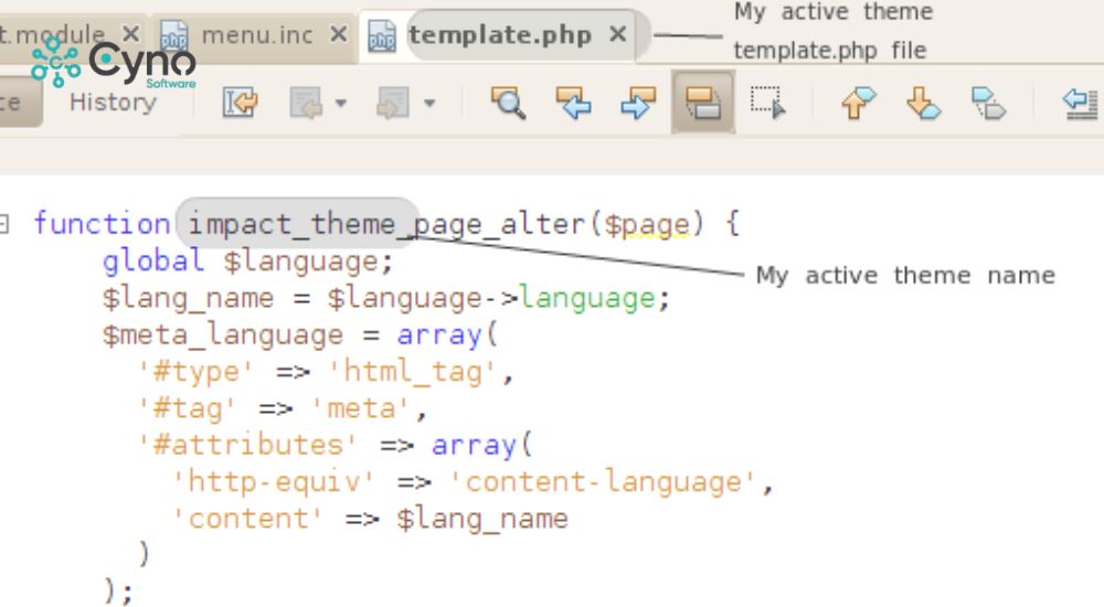 Khai báo đúng ngôn ngữ sẽ chỉ định rõ ràng ngôn ngữ có lợi cho SEO