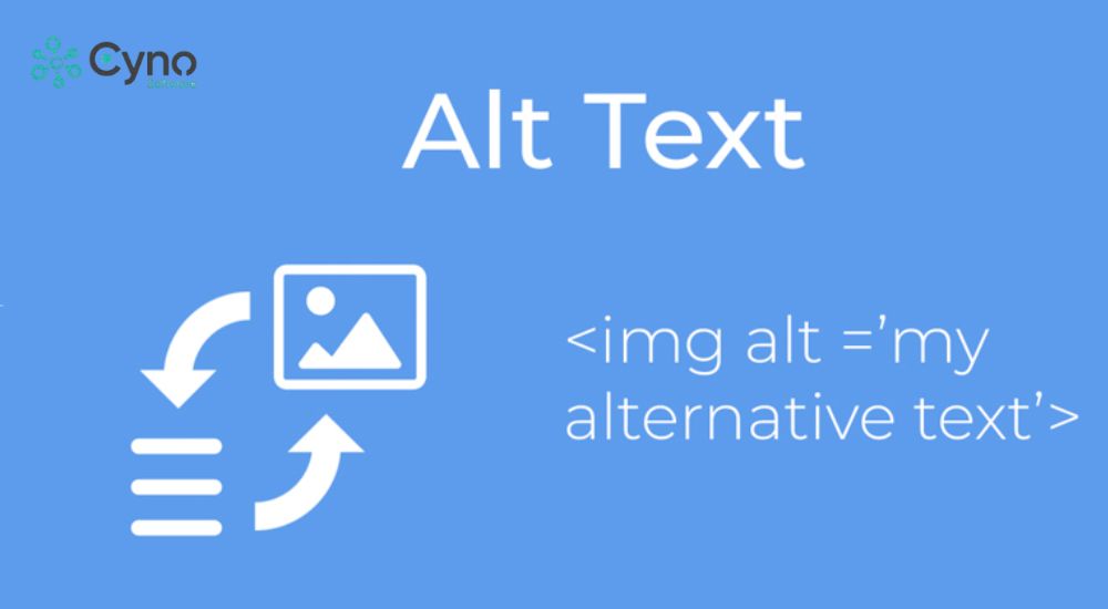 Tìm hiểu chi tiết "Alt Text là gì" để tối ưu hóa website