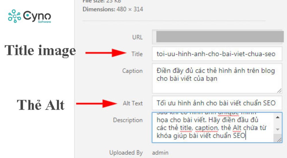 Alt Text và thẻ Alt trong HTML không giống nhau